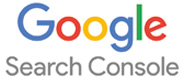 google_console logo